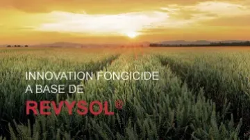 revysol